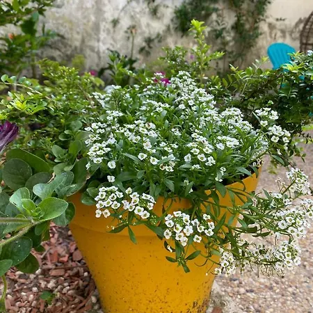 Serendipity 3* Eymet