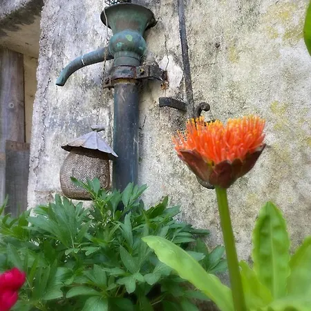 Serendipity Bed and Breakfast Eymet