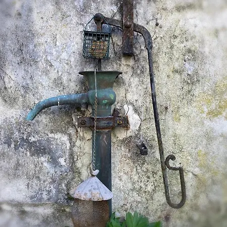 Serendipity Bed & Breakfast