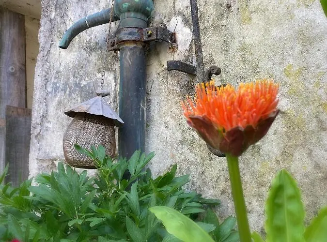 Serendipity Bed & Breakfast Eymet